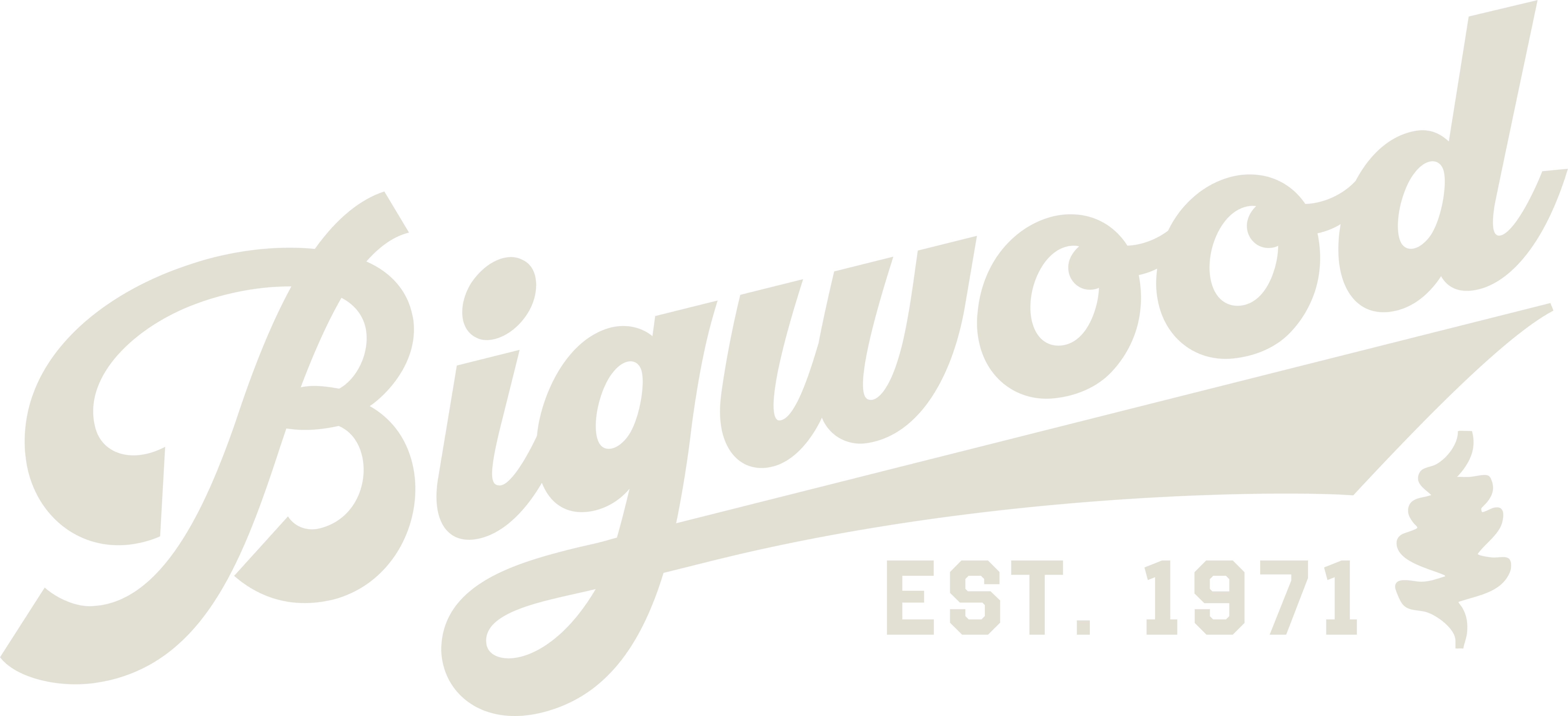 Bigwood Golf — Est. 1971
